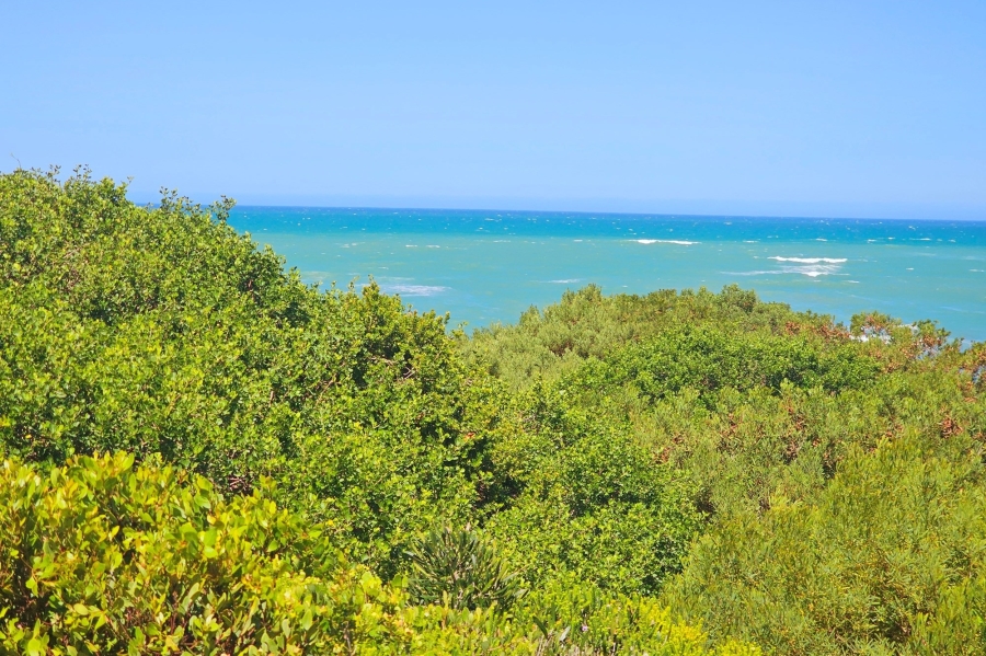 0 Bedroom Property for Sale in Paradise Beach Eastern Cape